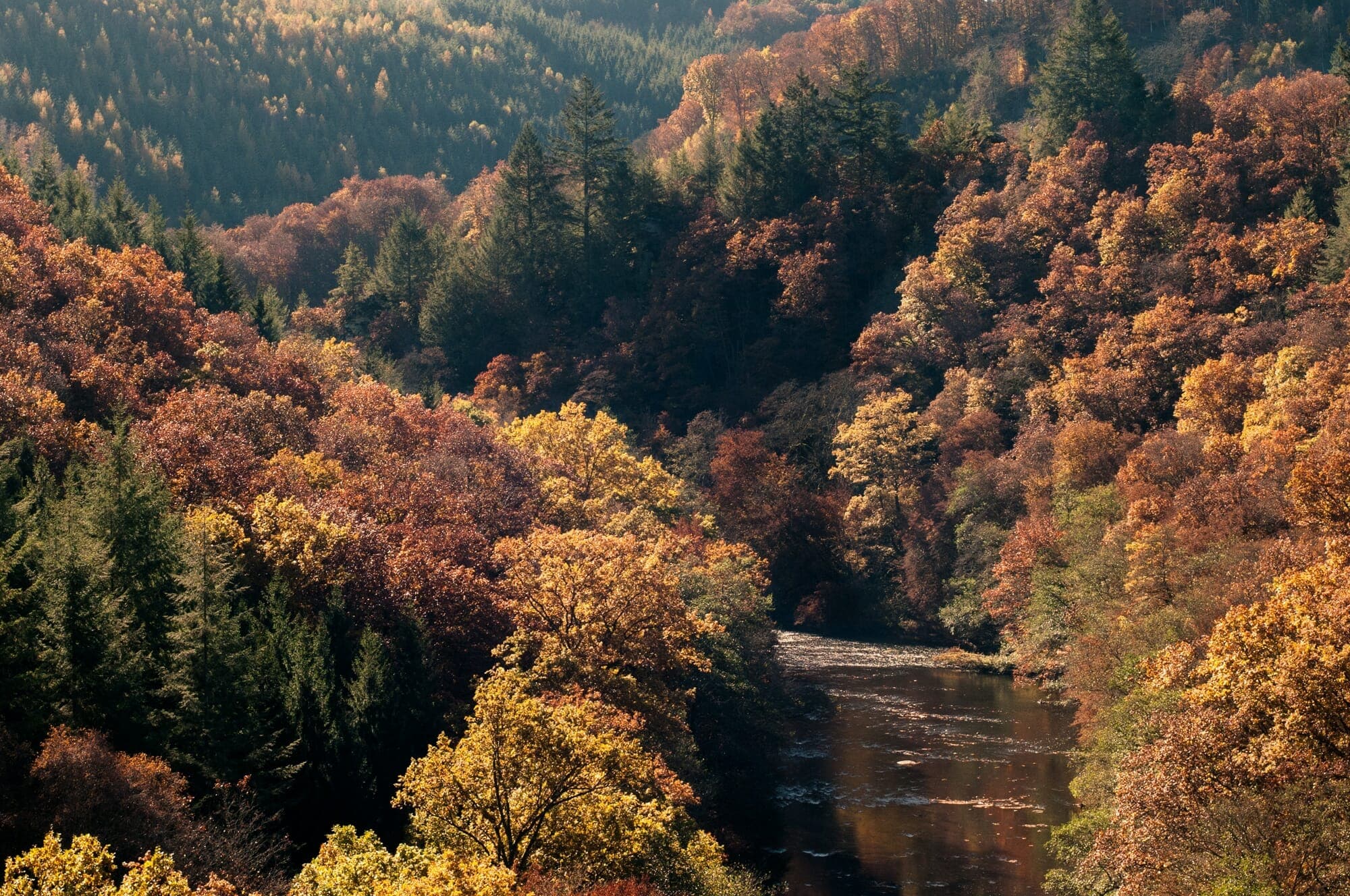 Saint-Hubert côté nature