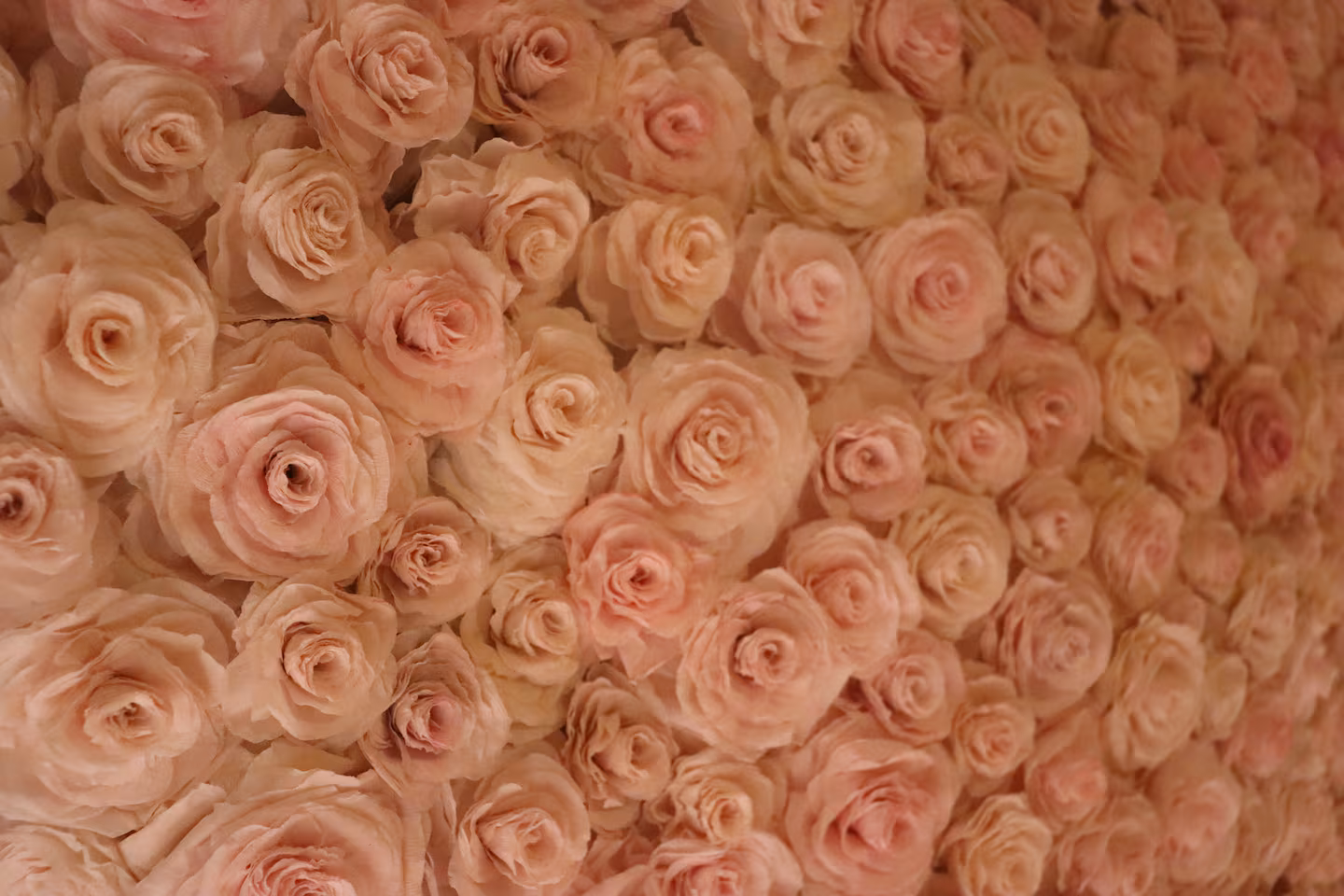 Logo La Bergerie & La Brassine